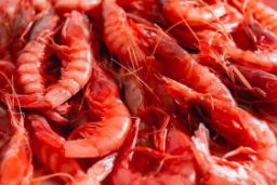 Mediante resolución publicada hoy en el BOE