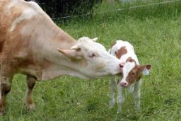 Los datos están disponibles en la página web del ministerio