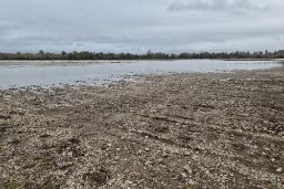 Disponible en la sede electrónica del Ministerio