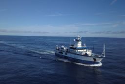 Desde hoy y durante 18 días a bordo del buque Vizconde de Eza