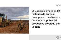 Hoy, en el Consejo de Ministros