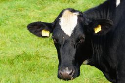 En una reunión celebrada hoy