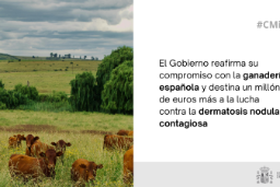 Hoy, en el Consejo de Ministros