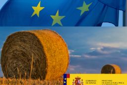 La medida beneficiará al sector agroalimentario español