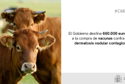 Por acuerdo adoptado hoy, en el Consejo de Ministros