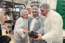 Hoy, en Muros (La Coruña)