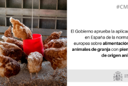 Hoy, en Consejo de Ministros