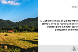 Hoy, en Consejo de Ministros