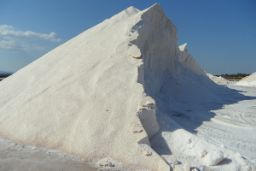 Hasta el día 18 de diciembre, en la página web del ministerio 