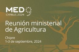 Del 1 al 3 de septiembre en Ayia Napa, Chipre 