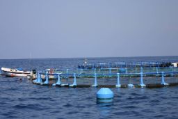 Durante un acto con motivo del Día de la Acuicultura