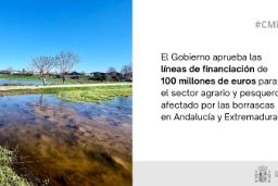 Hoy, en Consejo de Ministros