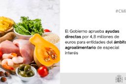 Hoy, en Consejo de Ministros