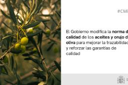 Hoy, en Consejo de Ministros