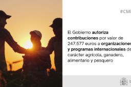 Hoy, en Consejo de Ministros