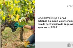 Hoy, en Consejo de Ministros
