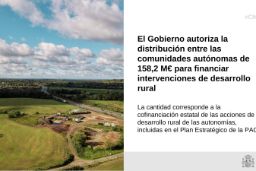 Hoy, en Consejo de Ministros