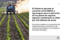 Hoy, en Consejo de Ministros