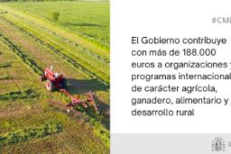 Hoy, en Consejo de Ministros