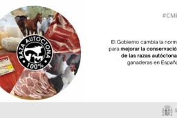 Hoy en Consejo de Ministros 