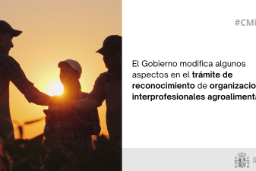 Hoy, en Consejo de Ministros