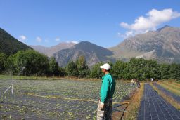 El MAPA publica el informe “Agricultura Ecológica. Estadísticas 2018” 