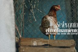 Tras la evaluación favorable del riesgo epidemiológico