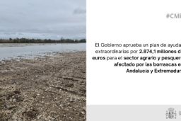 Hoy, en Consejo de Ministros