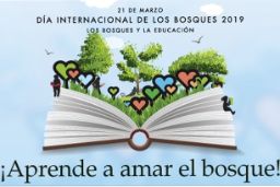 La Asamblea General de las Naciones Unidas proclamó en 2012 esta celebración, que este año tiene por lema “Los Bosques y la Educación” 