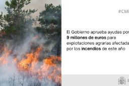 Hoy, en Consejo de Ministros