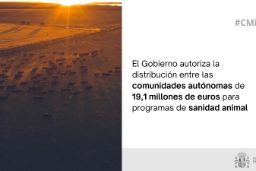 Hoy, en Consejo de Ministros