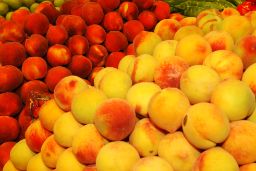 Programas europeos de promoción agroalimentaria