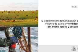 Hoy, en Consejo de Ministros