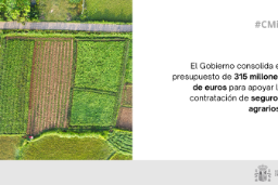 El Consejo de Ministros aprueba el plan para 2026