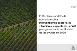 Hoy, en el Consejo de Ministros