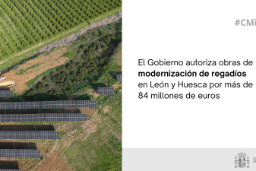 Hoy, en Consejo de Ministros