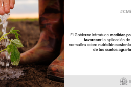 Hoy, en Consejo de Ministros