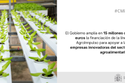 Hoy, en Consejo de Ministros