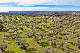 Mediante reglamento publicado hoy en el Diario Oficial de la Unión Europea