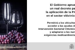 APROBADO HOY EN CONSEJO DE MINISTROS EL REAL DECRETO PARA LA APLICACIÓN DE LA PAC EN EL SECTOR VITITINÍCOLA