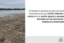 La orden ministerial ha sido publicada hoy en el BOE