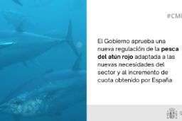 Hoy, en Consejo de Ministros