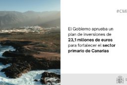 Hoy, en Consejo de Ministros