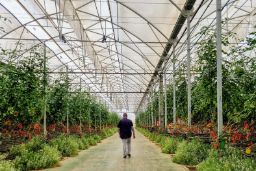 Perfil de usuario y de las operaciones de SAECA 2025