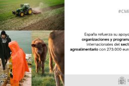 Hoy, en Consejo de Ministros