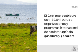 Hoy, en el Consejo de Ministros