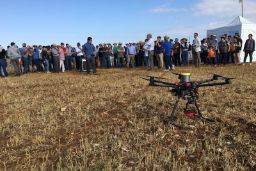 En colaboración con la Consejería de Agricultura, Medio Ambiente y Desarrollo Rural de Castilla – La Mancha y el Ayuntamiento de Cifuentes (Guadalajara) 