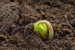 Publicado en el Boletín Oficial del Estado  