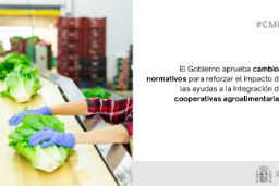 Hoy, en Consejo de Ministros