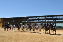 Hoy en el marco de la Jornada “Trabajando con el sector equino” en Jerez de la Frontera 
